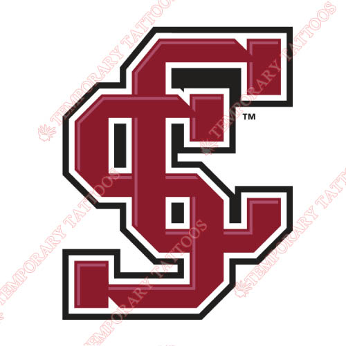 Santa Clara Broncos Customize Temporary Tattoos Stickers NO.6138
